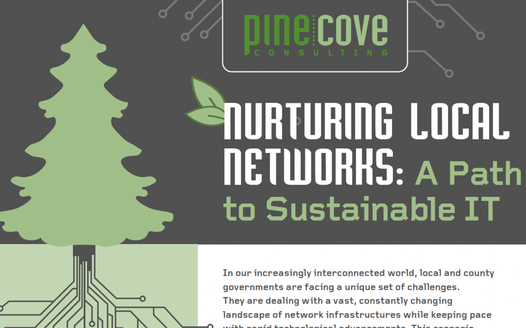 NURTURING LOCAL NETWORKS: A Path to Sustainable IT